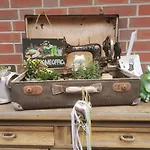Kerstin In Strackholt Grossefehn