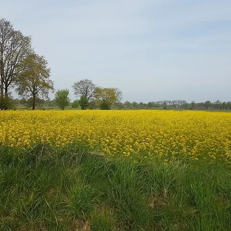 Kerstin In Strackholt Ostfriesland- Urlaub