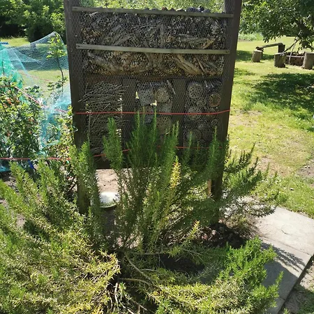 Kerstin In Strackholt Apartment *